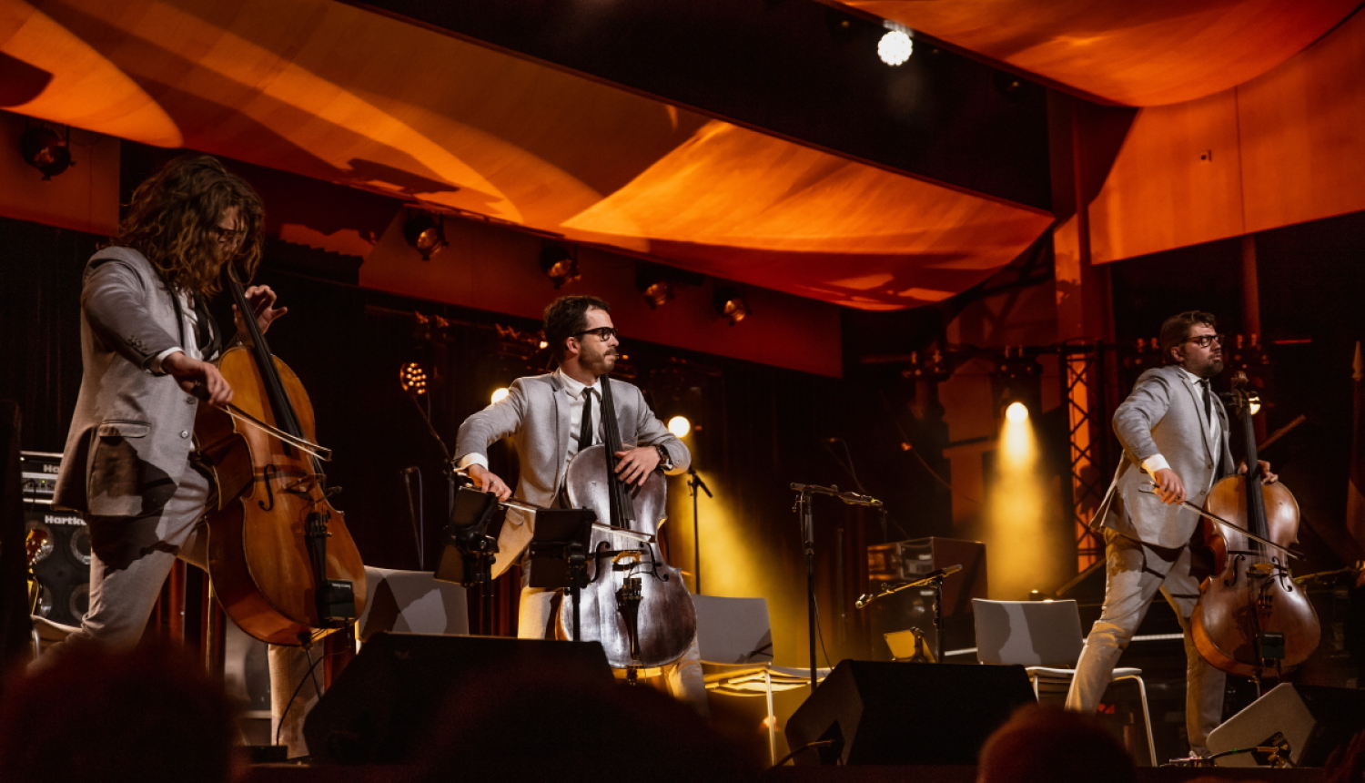 Osokina Brīvības festivāla Ukrainai atklāšanas koncerts, foto: Jānis Škapars