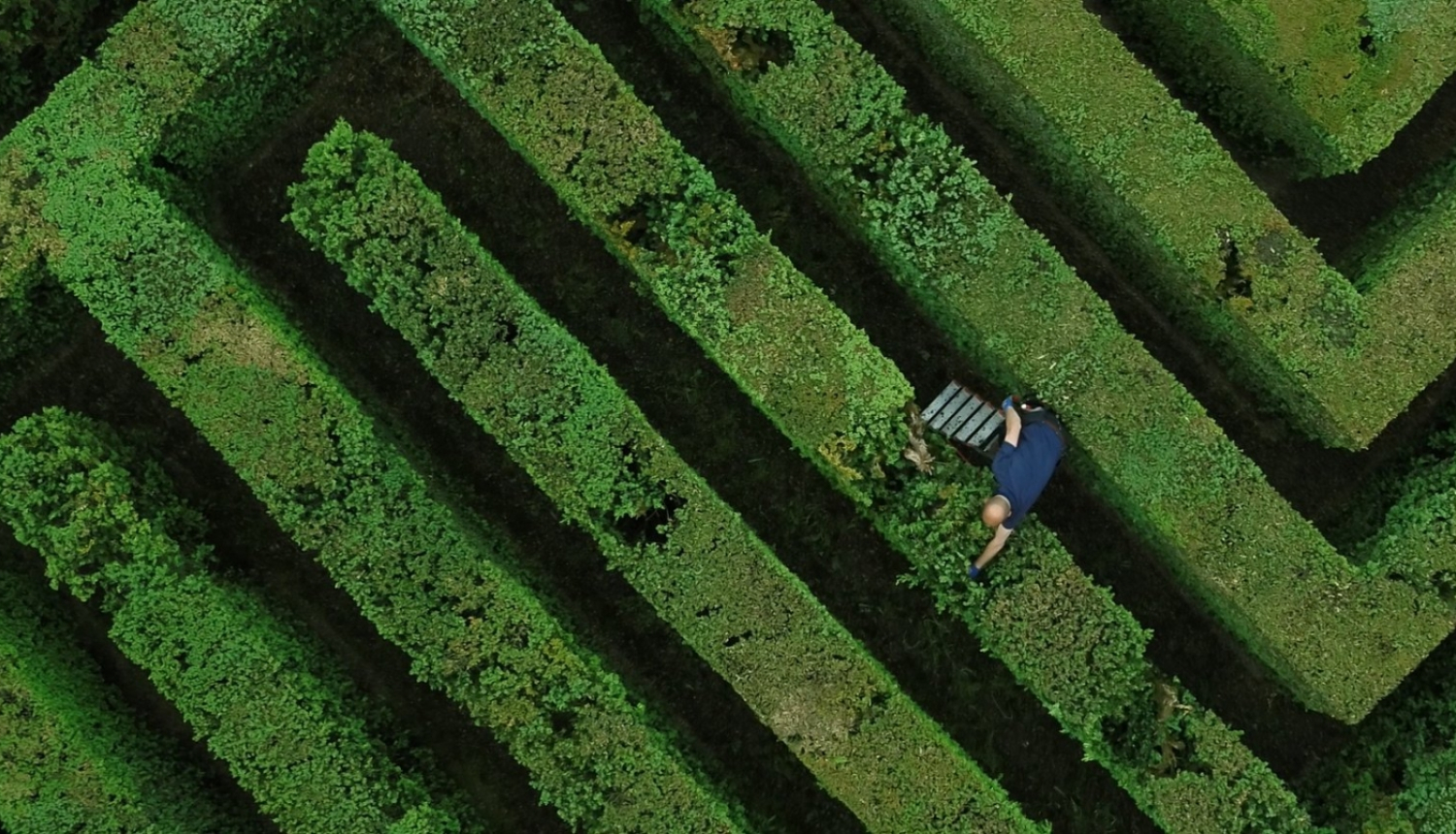 Foruma programmā iekļautās filmas "Pēc darba" publicitātes attēls