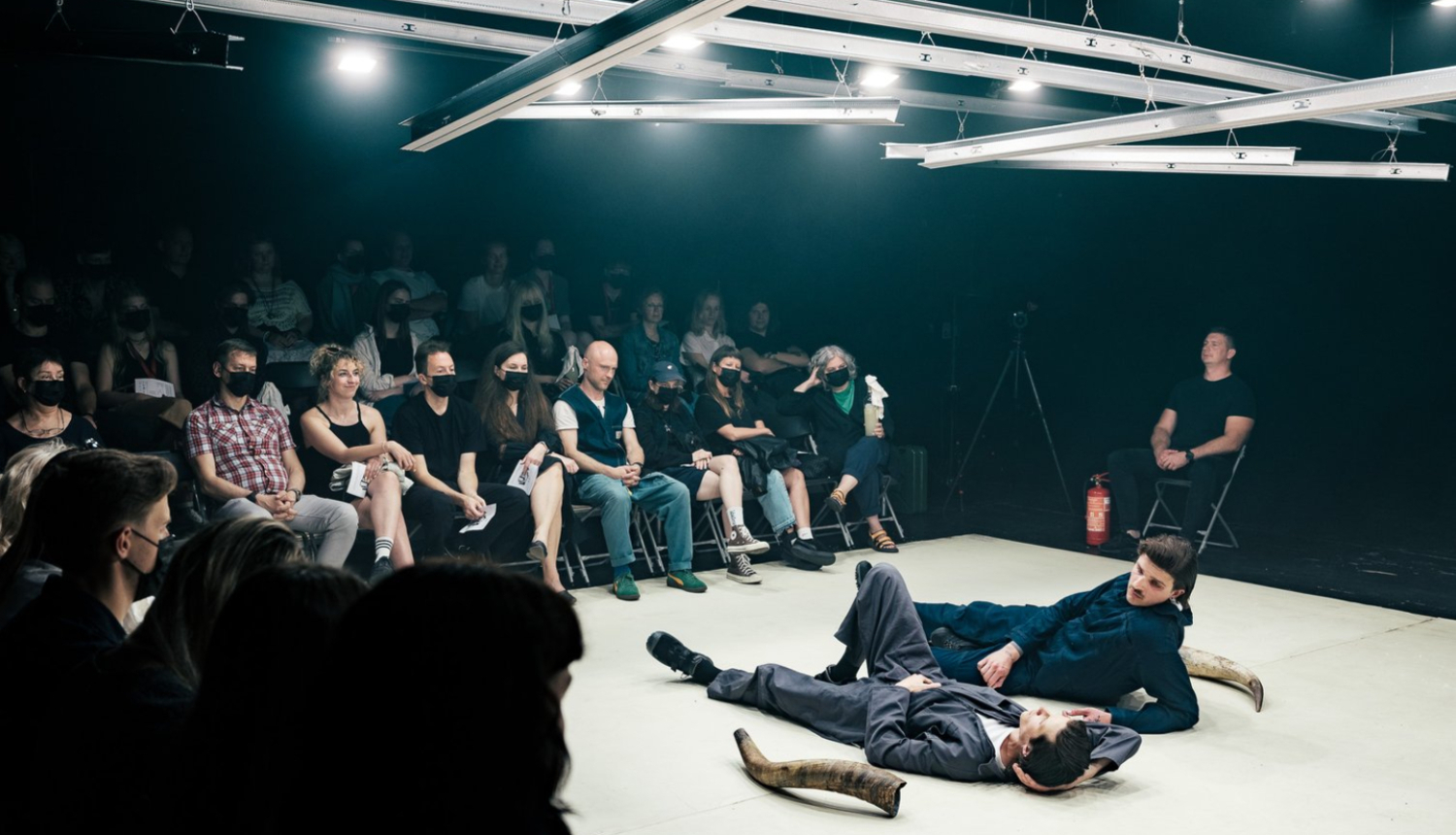 Izrāde PILENE* Ģertrūdes ielas teātrī, foto: Martynas Norvaišas