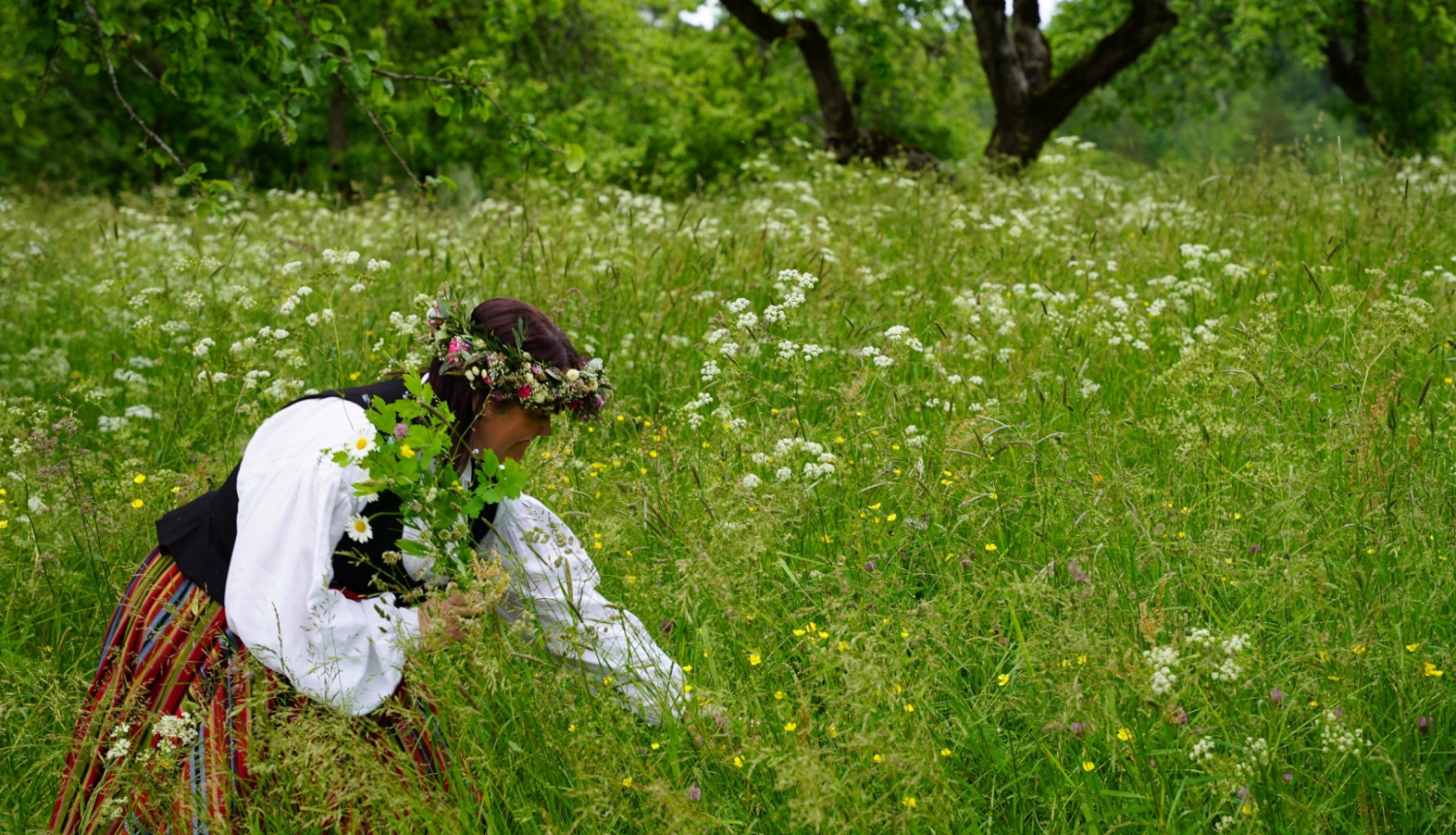 Pļava, foto: Agris Tabaks