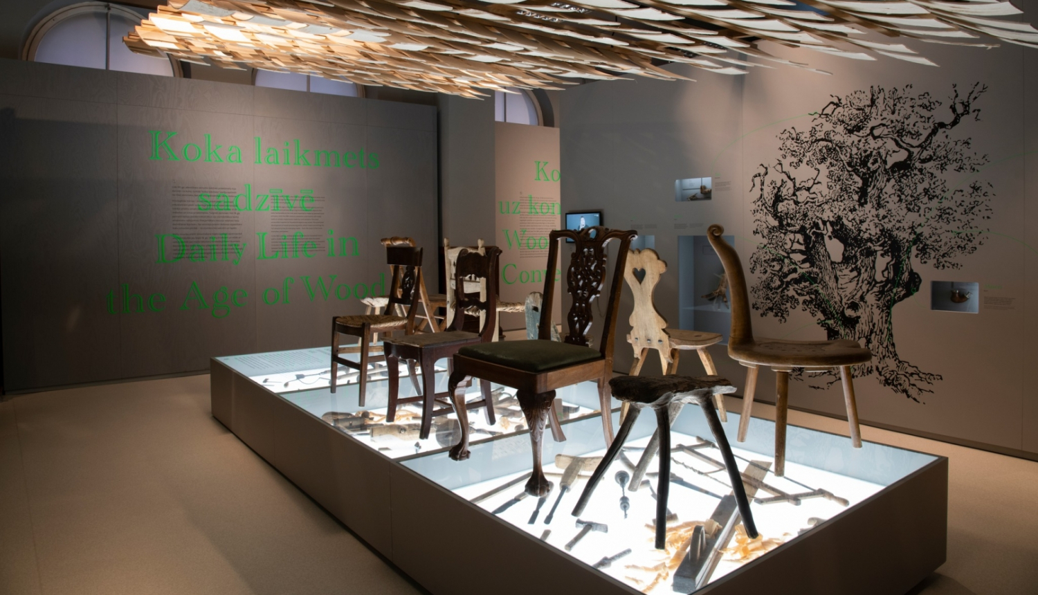 LNVM vizuālais materiāls