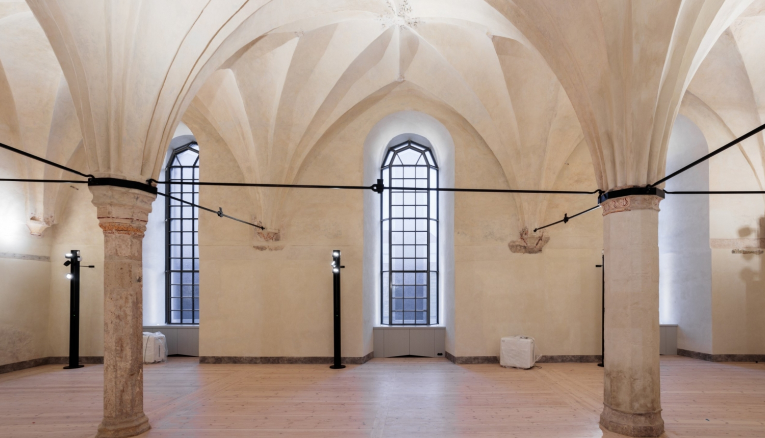 Rīgas pils remtera daļa, foto: VNĪ.