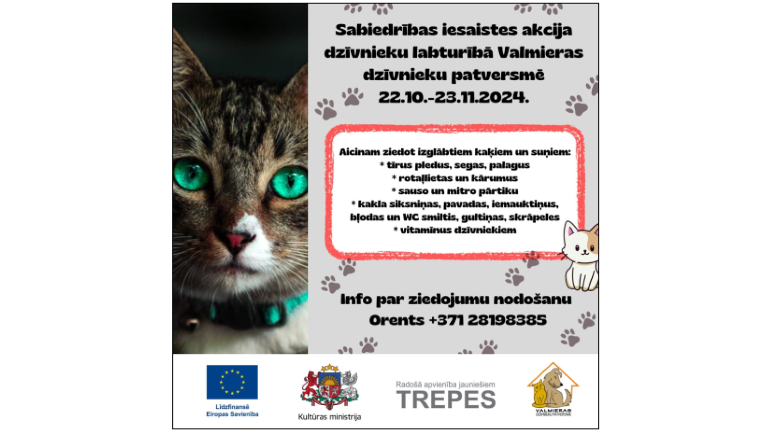 Plakāts ar kaķa foto