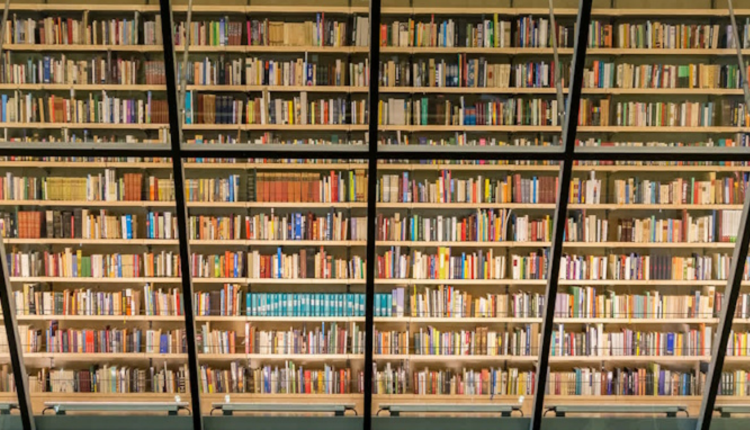 LNB Tautas grāmatu plaukts, foto: Kristians Luhaers