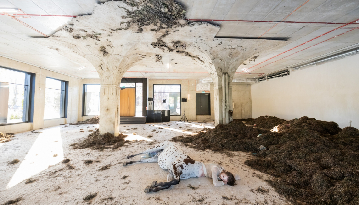 Izstādes vizuālais materiāls, foto: Reinis Oliņš