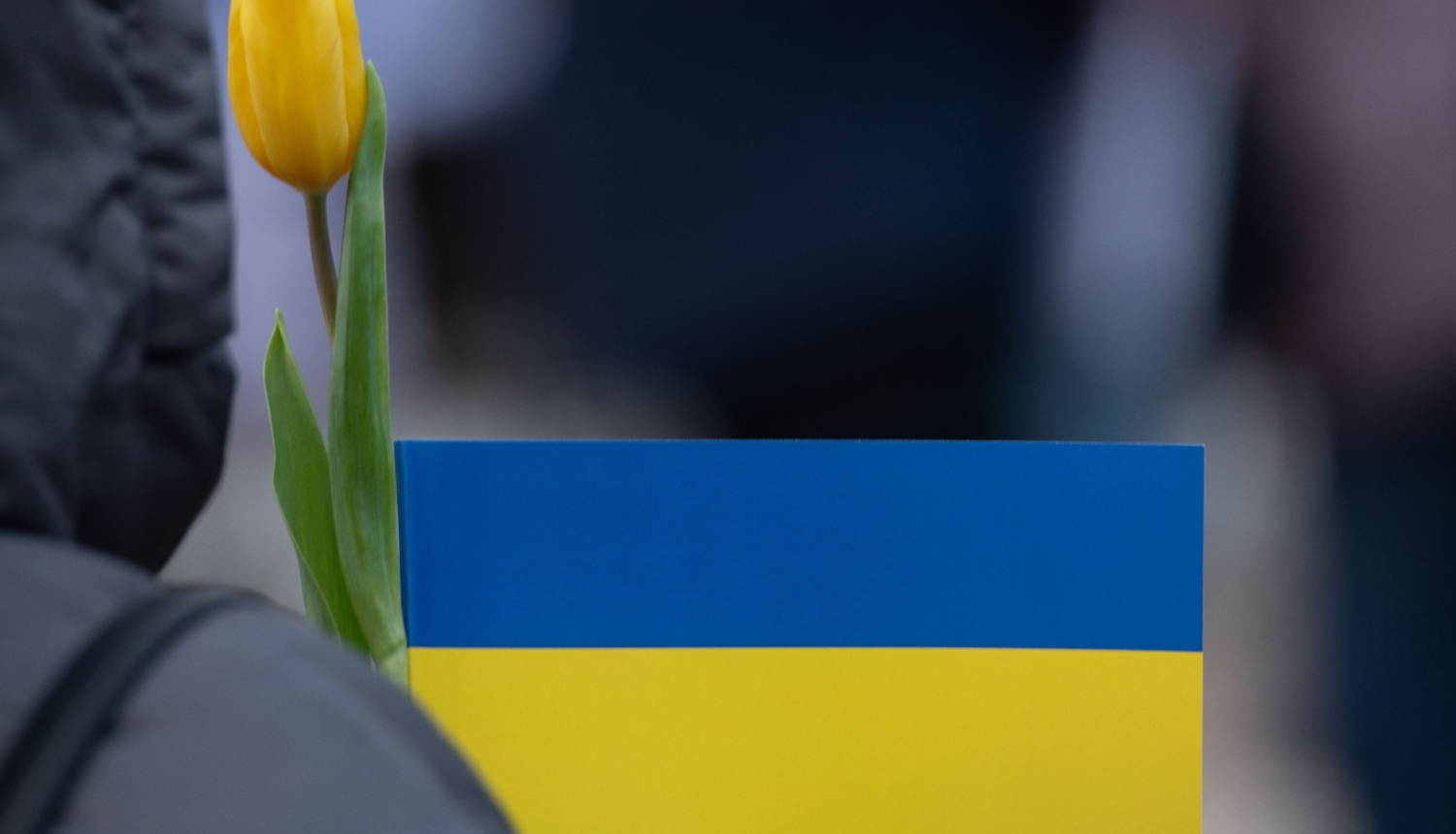 Ukrainas karoga krāsas