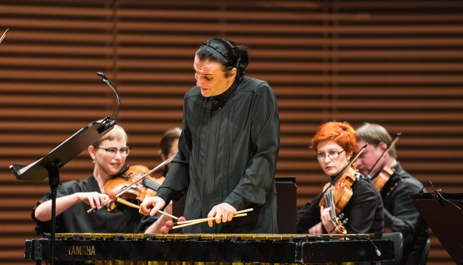 Vibrofonists Andrejs Puškarevs