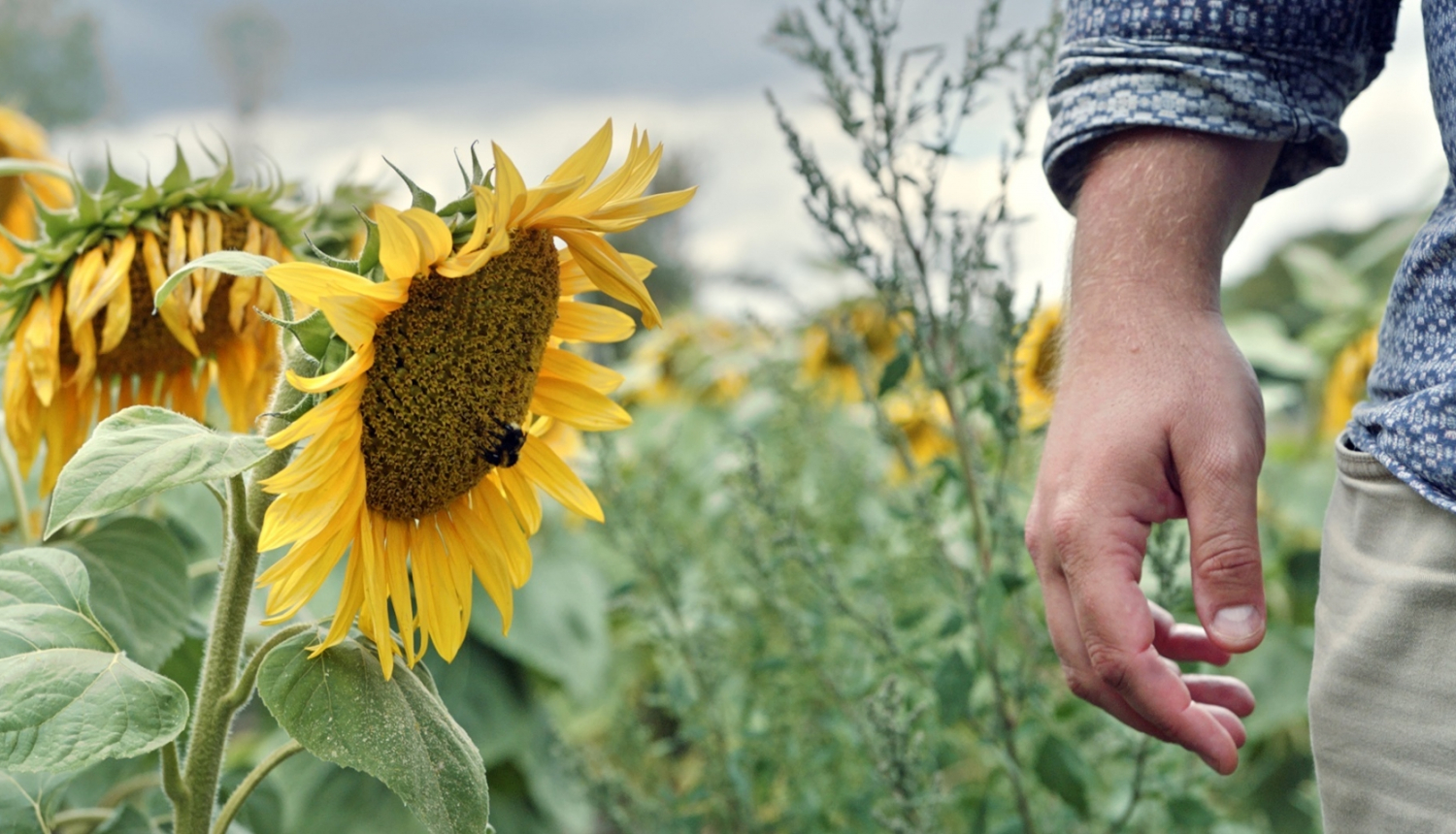 Kadrs no filmas "Dzīvnieks" / "Animal" (režisors Kirils Dions, Francija)