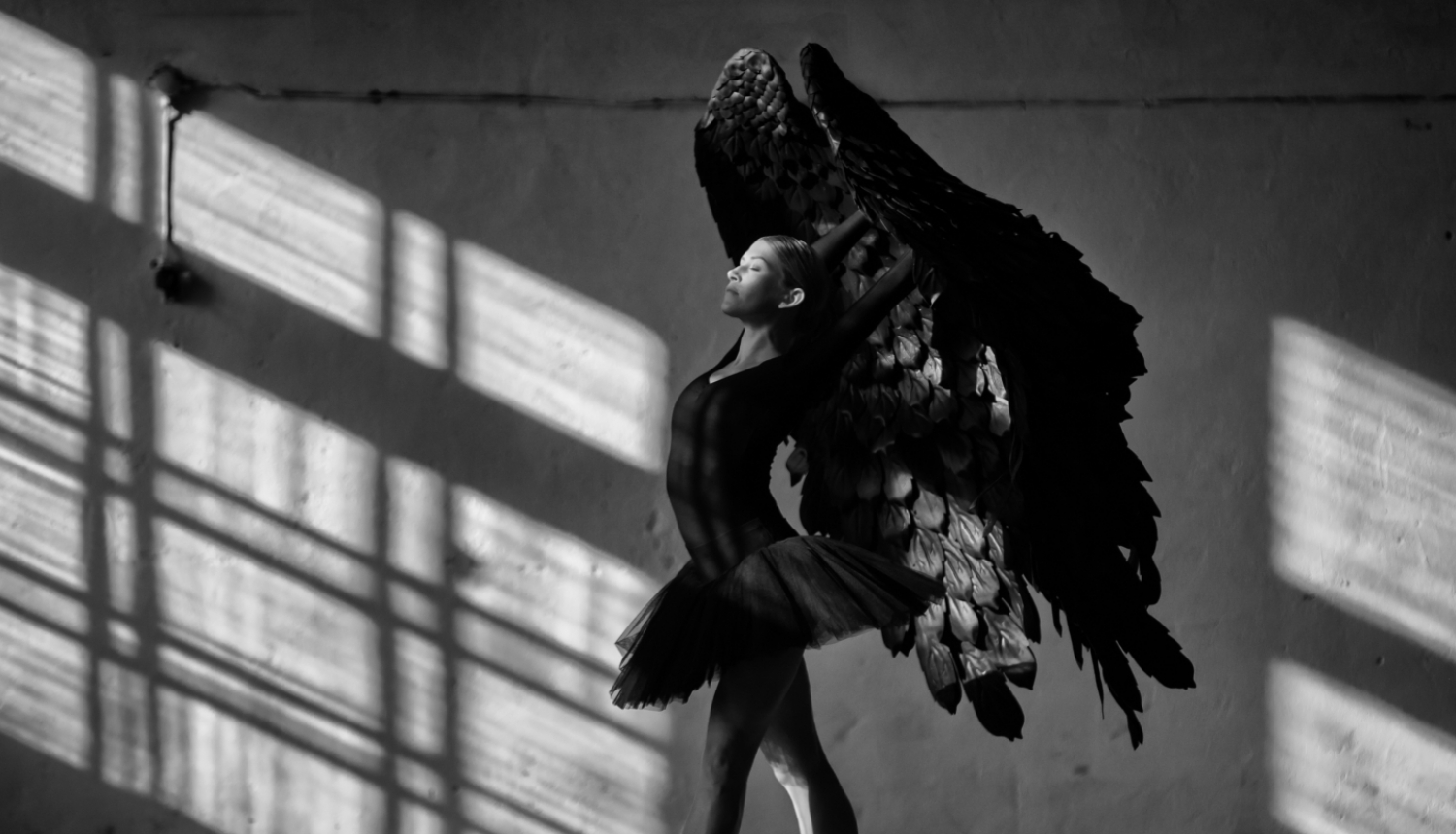 Eduards Kapša, “Melnais gulbis”, fotogrāfija