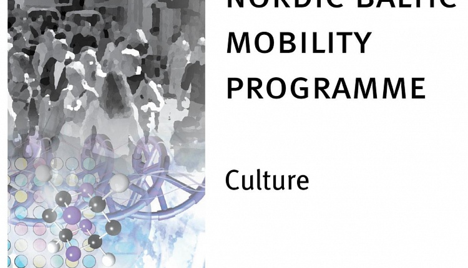 Ziemeļvalstu un Baltijas valstu mobilitātes programmas „Kultūra” ietvaros ir izsludināts konkurss īstermiņa sadarbības tīklu veidošanai