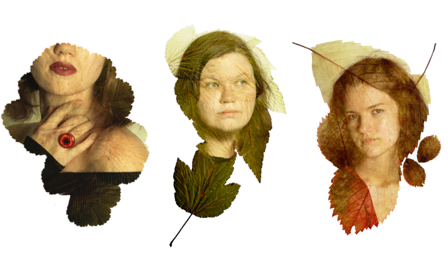 Trīs sieviešu fotoportreti, kas sapludināti ar dāžādu augu lapām.