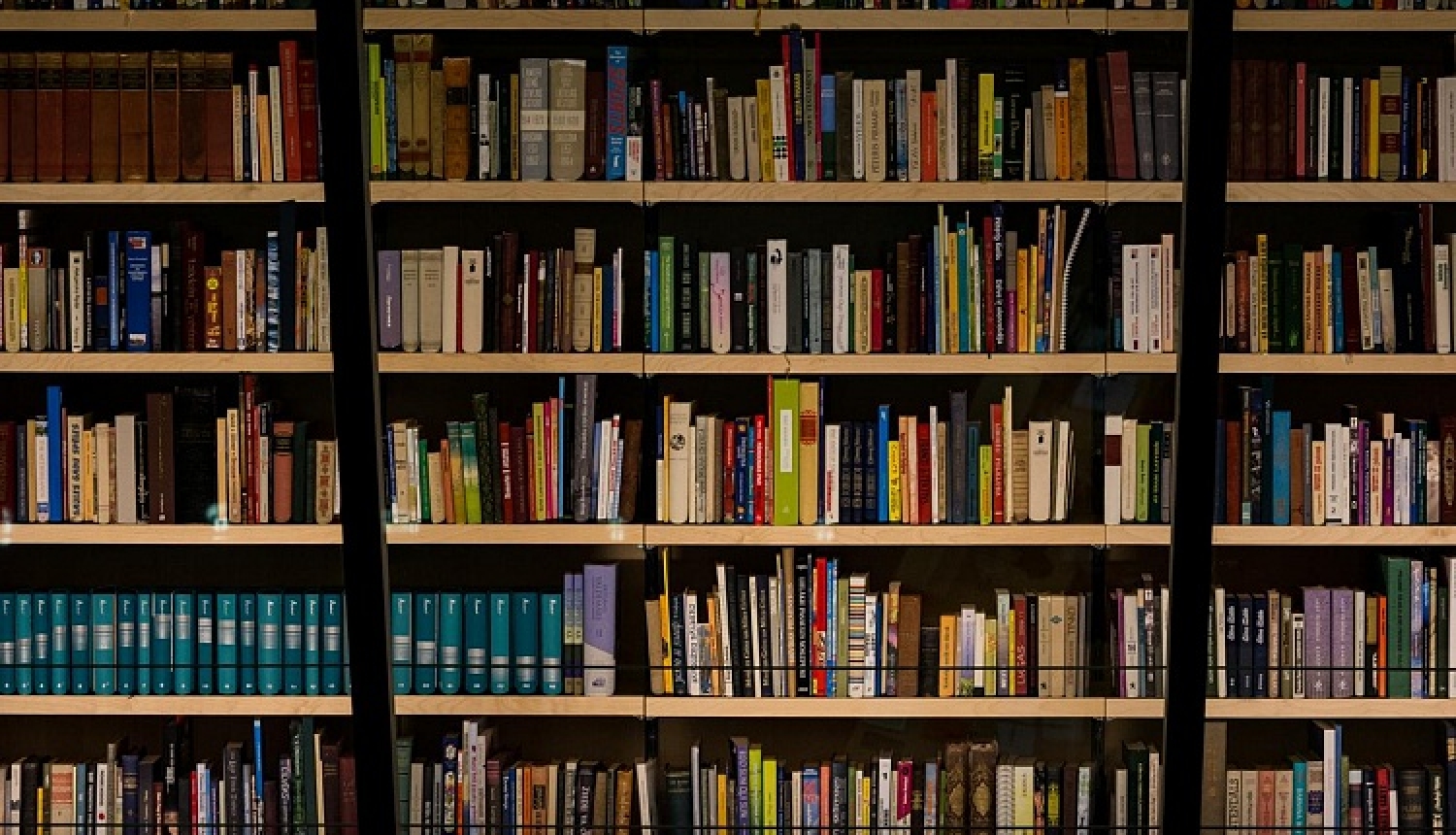 Ārvalstīs tiks izdoti vēl 16 latviešu literatūras darbu tulkojumi