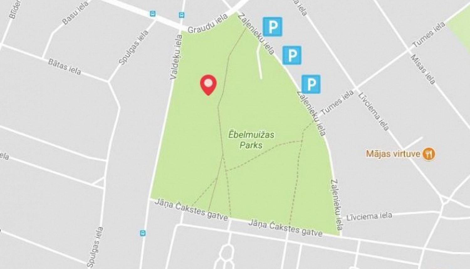 Uzaicinājums uz Latvijas valsts simtgades dižkoku meklēšanas akcijas uzsākšanu