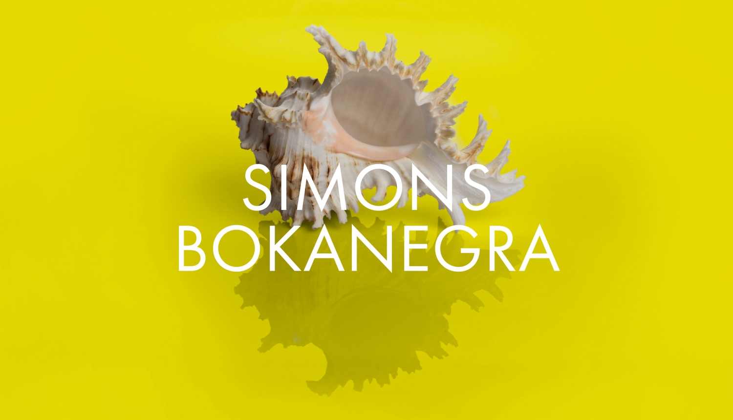 Operas “Simons Bokanegra” vizuālais materiāls.